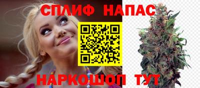 молекула духа Шахты