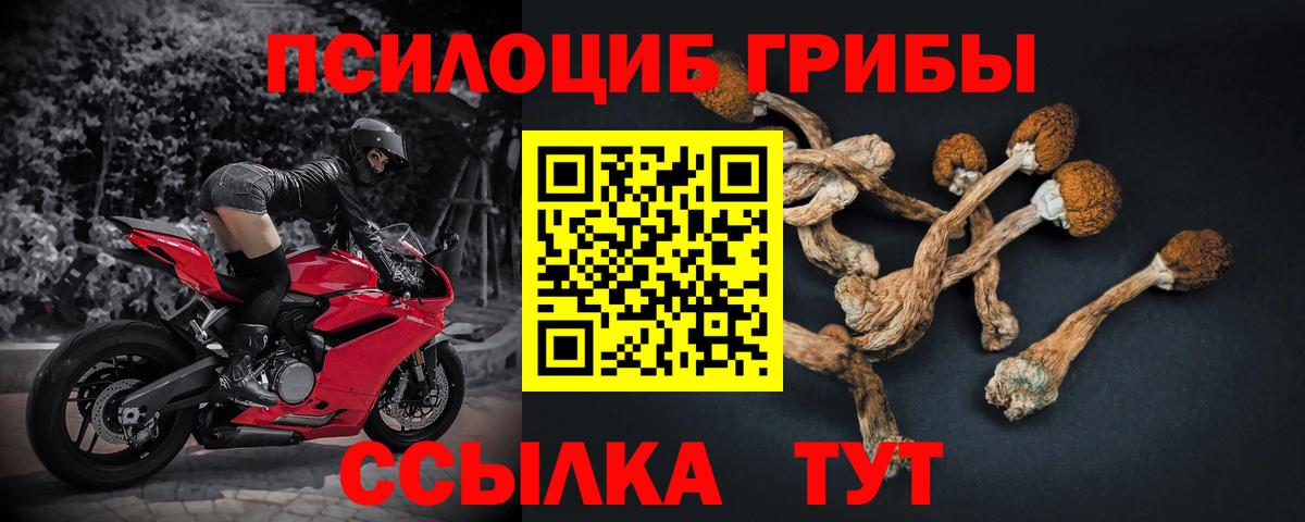 Псилоцибиновые грибы Magic Shrooms Ахтубинск